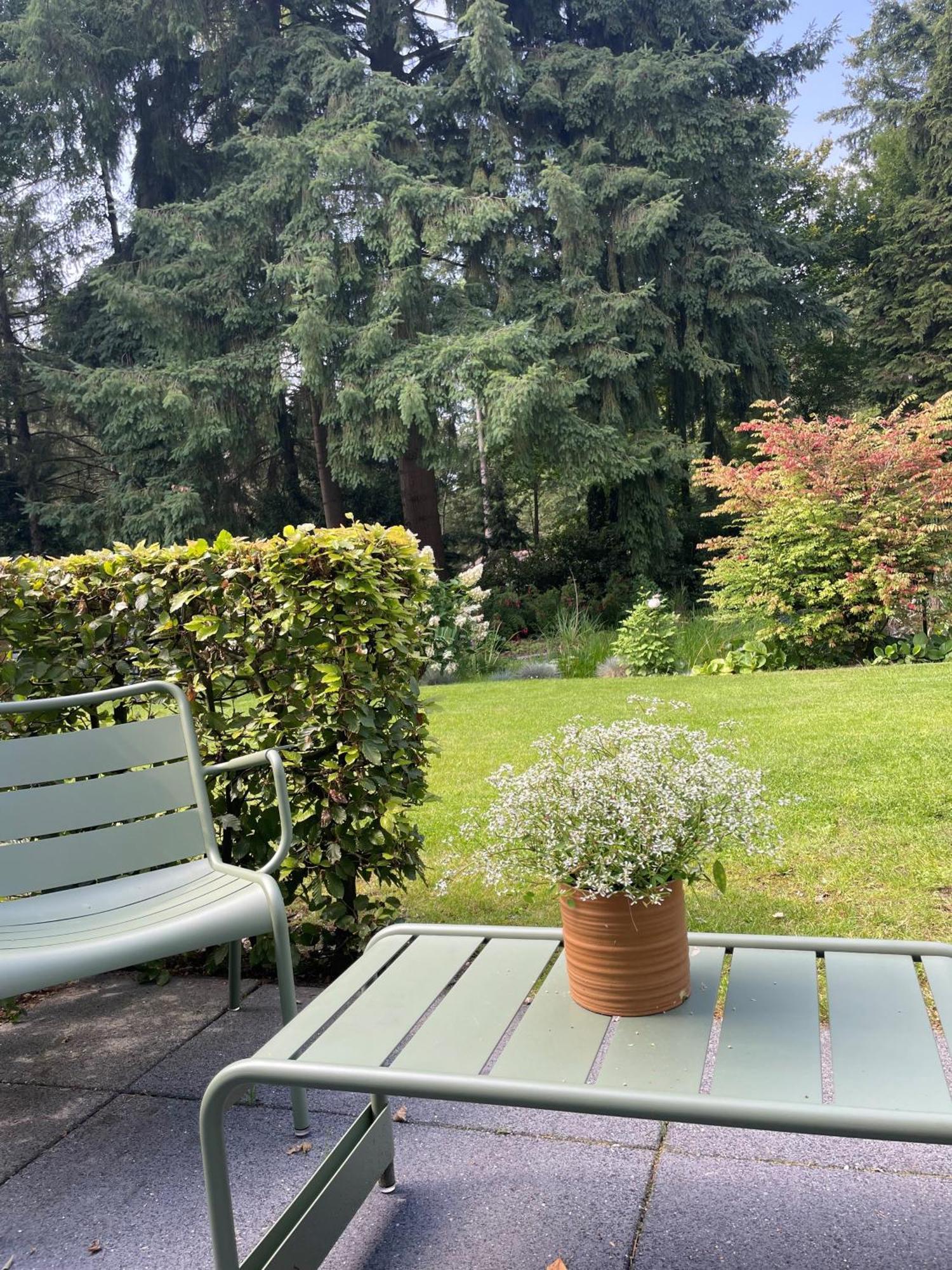 Witte Berken Natuurhotel Epe Exterior foto